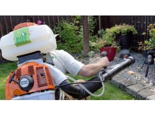 Questions to Ask a Pest Control Company in Winnipeg Before Hiring