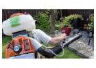 Questions to Ask a Pest Control Company in Winnipeg Before Hiring