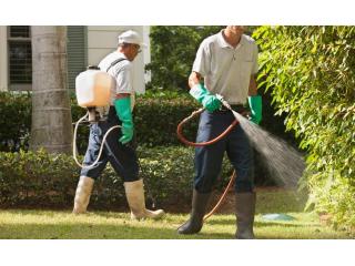 Questions to Ask a Pest Control Company in Winnipeg Before Hiring