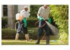 Questions to Ask a Pest Control Company in Winnipeg Before Hiring