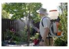 Why Professional Pest Control in Winnipeg Is Important Year-Round