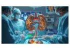 Retrograde Intrarenal Surgery in Dehradun