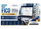 Top SAP FICO Course in Noida | INXYME