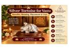 Shop Pure Silver Tortoise Online at Best Price | The Stardust Studio