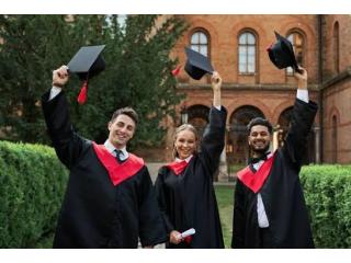 Focused Academic Support