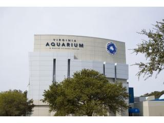 Best Hotels near Virginia Aquarium and Marine Science Center