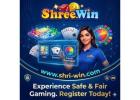 Shreewin Portal Guide: Ultimate Hub for Safe Site Login Info