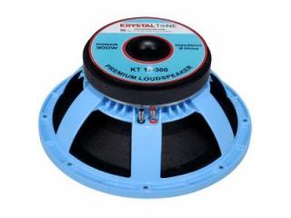 Powerful 12 Inch 300 Watt Ferrite DJ Speaker KT 12-300