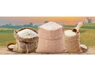 Basmati Rice | Premium Indian Basmati Rice Buyers & Suppliers