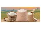 Basmati Rice | Premium Indian Basmati Rice Buyers & Suppliers
