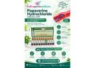  Papaverine Injection — Blood Flow Support Injection | Visit Online Generic Medicine