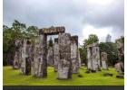 Private Guided Tours London for Royal Sights and Local Experiences 