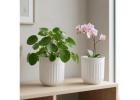 Stylish Decorative Pots & Planters for Home
