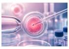 ICSI treatment and Clinic in Varanasi - ICSI Cost in Varanasi