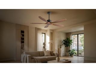 Premium Quality Ceiling Fan