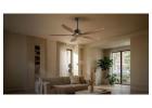 Premium Quality Ceiling Fan