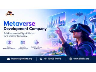 Develop 3D Virtual Platforms with a Metaverse Development Company