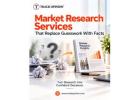 Market Research Services That Replace Guesswork With Facts