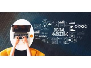 What a Digital Growth Agency Does to Improve Business Growth