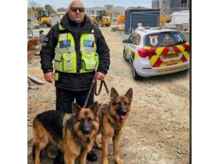 Professional Security Dog Handling Services Across the UK