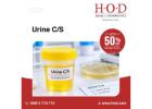 Understanding the Role of Urine Culture in UTI Evaluation