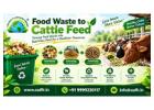 Make Food Waste to Cattle Feed – Sustainable Recycling Solutions