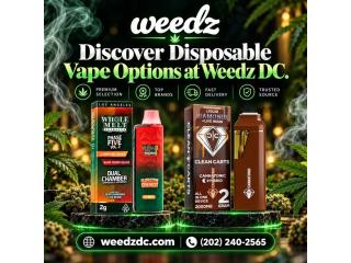 Discover Disposable Vape Options at Weedz DC