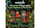 Discover Disposable Vape Options at Weedz DC
