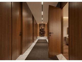 Stylish Pre-Mica & Laminated Doors for Home and Office Inte