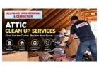 Reliable Attic Clean Up Services for a Cleaner, Clutter-Free Home 