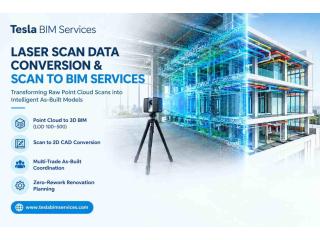 Laser Scan Data Conversion for Modern Construction