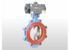 Butterfly Valve Manufacturer in UAE | Industrial Flow Solutions