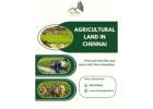 Agricultural Land in Chennai – A Different Kind of Opportunity 