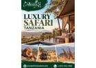 Experience Exclusive Luxury Safari Wildlife in Tanzania - Proud African Safaris 