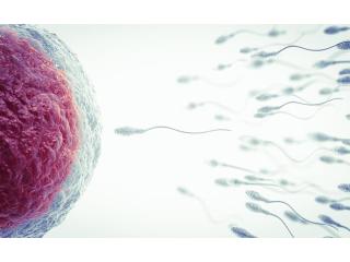 IUI Treatment Cost in Delhi - Dr Rhythm Gupta