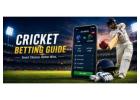 Finding the Best Cricket Betting App in India