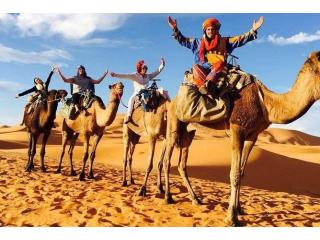 Book a Private Sahara Desert Tour from Marrakech Today