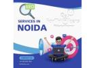 Affordable Seo services in Noida focusing on stablity and growth