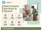 Professional Pest Control Service in Mysore by LocalRamu  