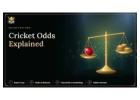 Cricket Odds Guide: Decimal Odds & Implied Probability