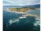 Discover Kiwi Tours New Zealand | Cheeky Kea Travel