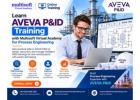 Learn AVEVA P&ID Training with Multisoft Virtual Academy for Process Engineering