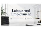 Need Expert Help with Labour And Employment Legal Matters for Your Business?