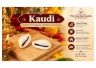 Shop Kaudi (Cowrie) Shells Online at Best Price | The Stardust Studio