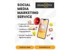 Top social media marketing service: Spark Organic Word-of-Mouth with Brandistry
