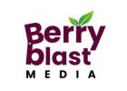 Berry Blast Media - Digital Marketing Agency in Mumbai