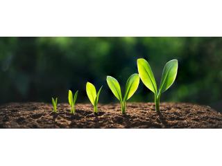 Small Business Accounting Services | Frostpllc.com