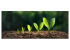 Small Business Accounting Services | Frostpllc.com