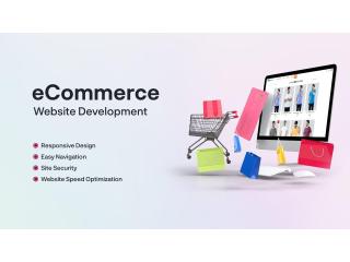 Ecommerce Website Development