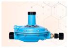 How do LPG Gas Regulator Manufacturers meet different gas solution needs?